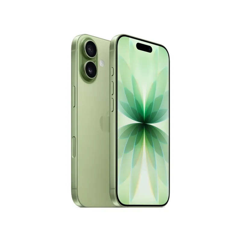 iPhone 17 256 Гб Зелёный (eSIM)