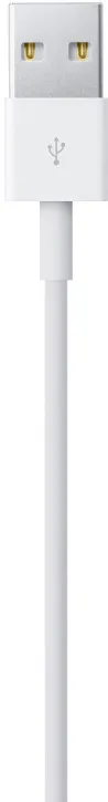 Кабель Apple USB - Lightning (2 м)